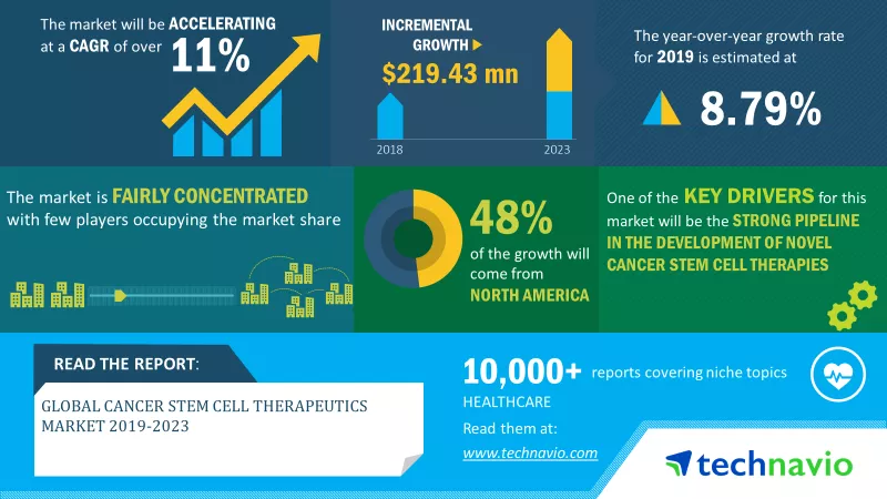 Cancer Stem Cell Therapeutics Market 